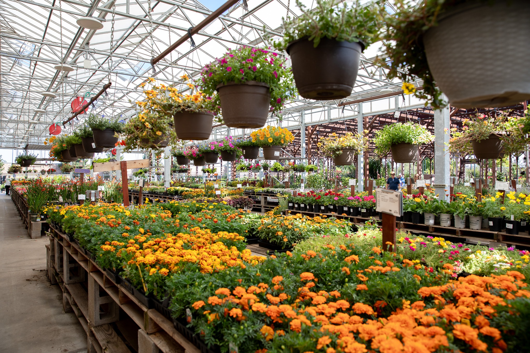 Early days of Shree ram nursery nursery