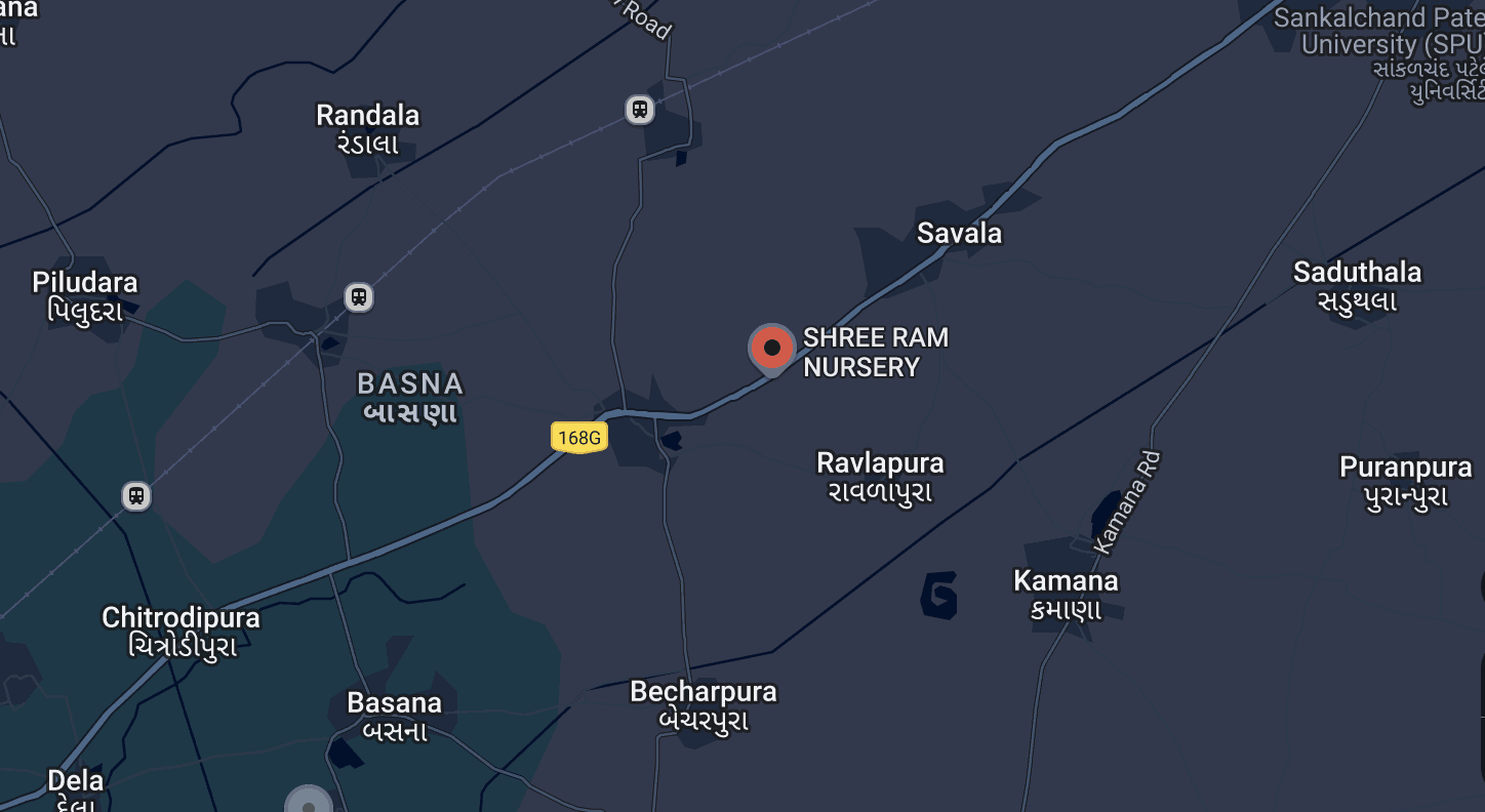 Map showing Shree ram nursery location in dark mode