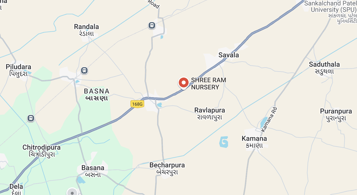 Map showing Shree ram nursery location